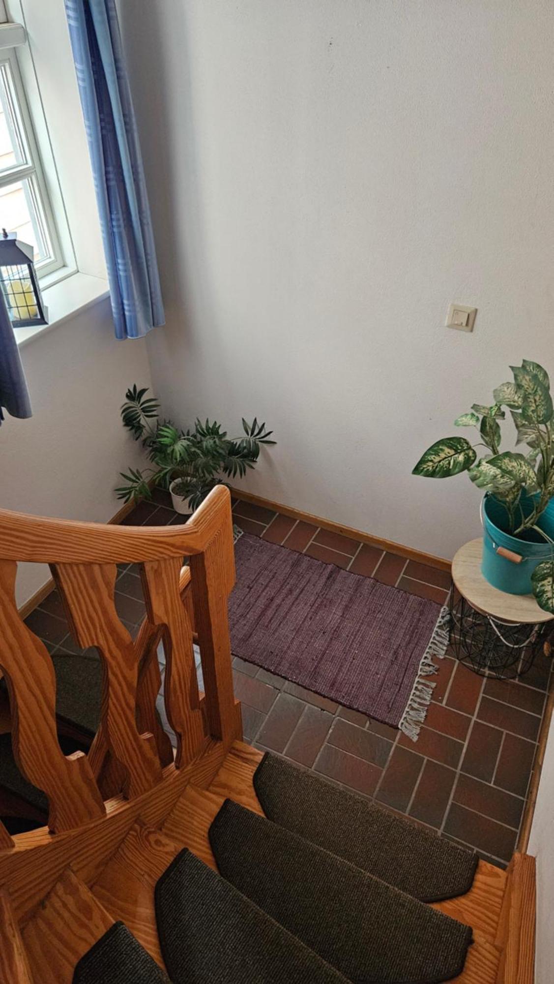 Ferienwohnung Lehmann Wolfenbüttel Exteriör bild